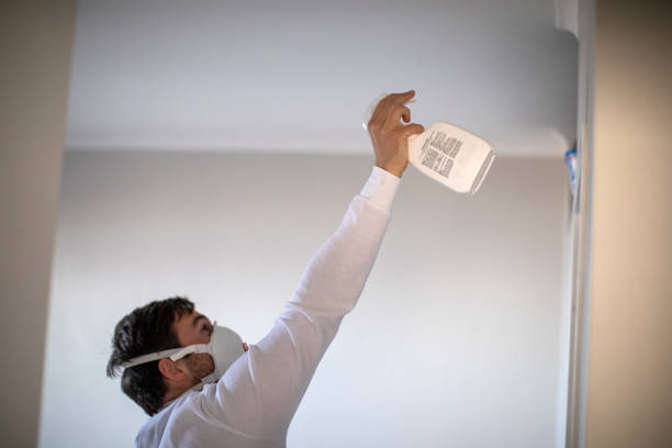 Best White Mold Remediation in Brooklyn Heights, OH